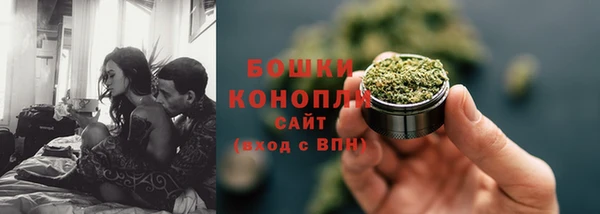 шишки Бронницы